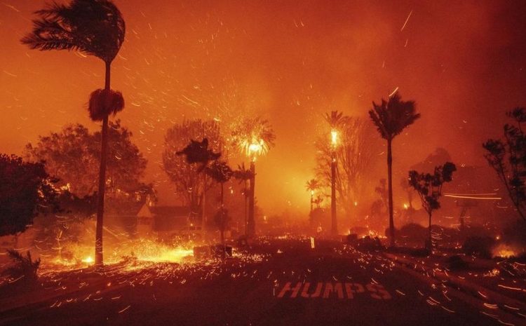  Dari Surga Menjadi Neraka: Dampak Kebakaran Hutan di Los Angeles