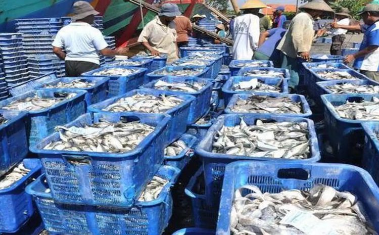 Solusi Asuransi Terbaik untuk Petani dan Pengusaha Perikanan dalam Program Pemerintah